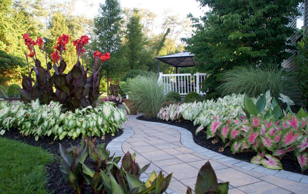 A close up of a flower garden
